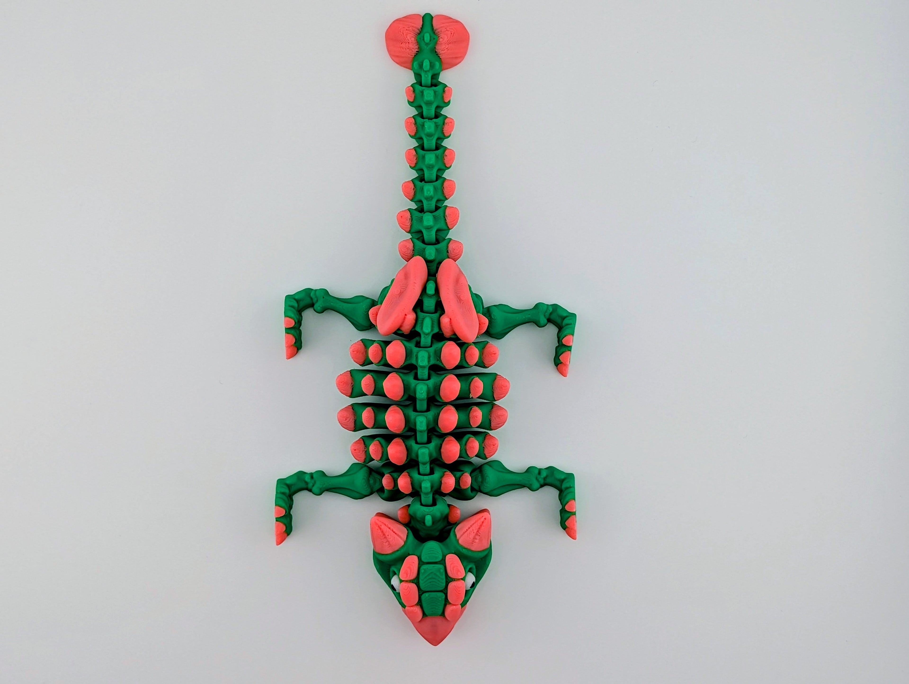 Watermelon Ankylosaurus