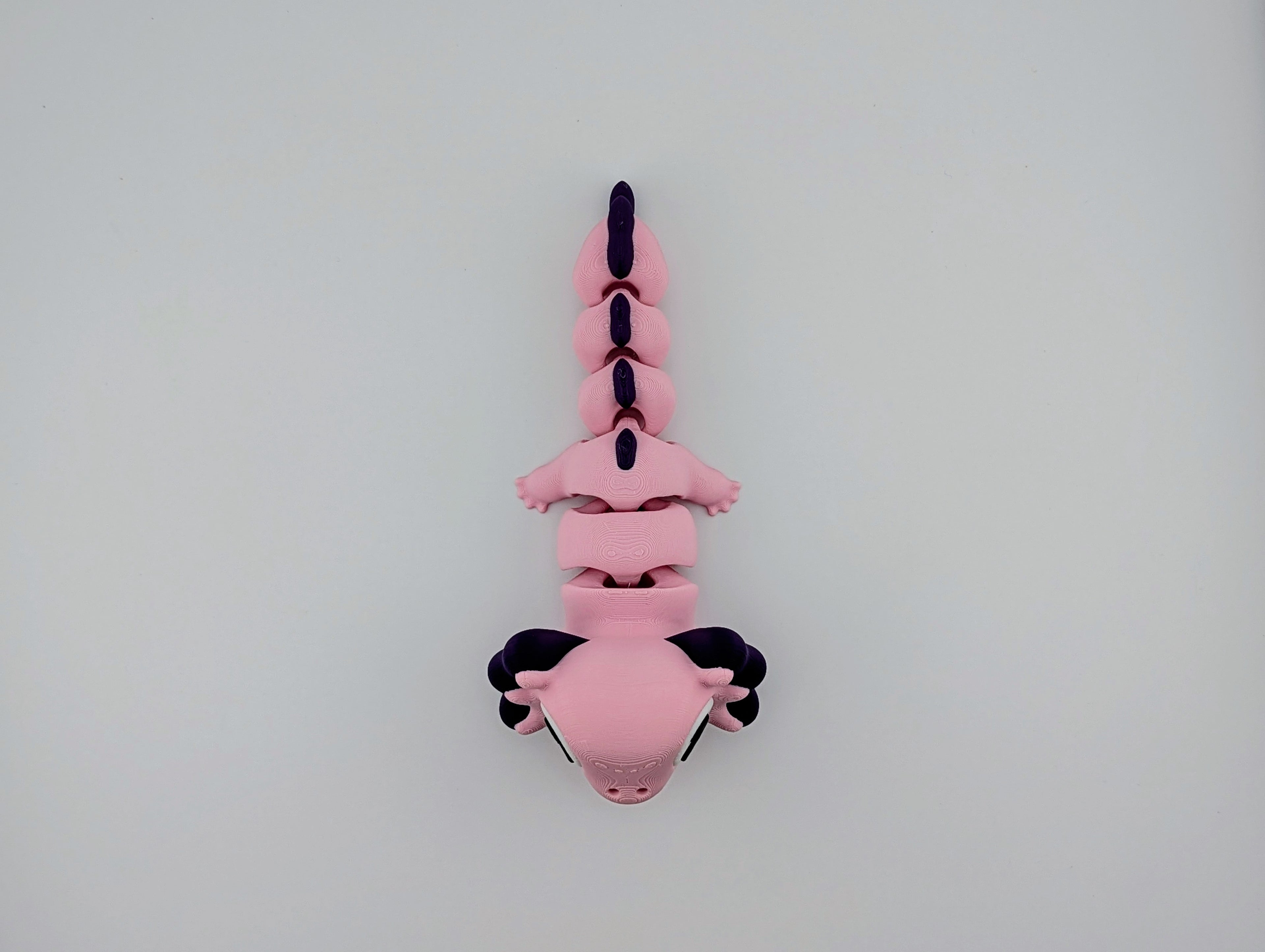 Pink and Purple Axolotl